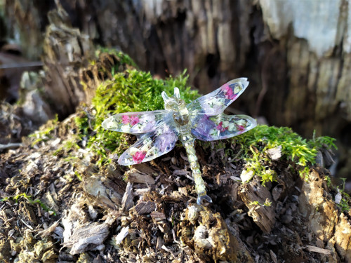 Vážka orchidej a rdesna - brož — foto 4