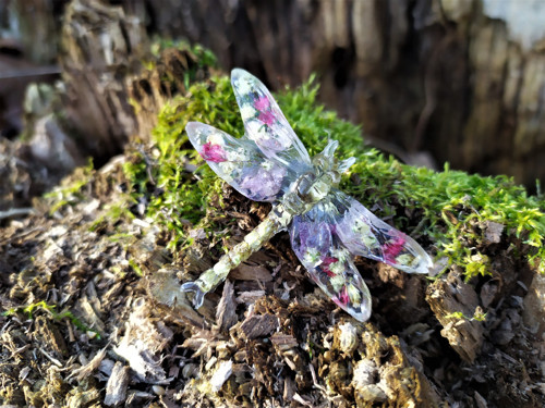 Vážka orchidej a rdesna - brož — foto 6