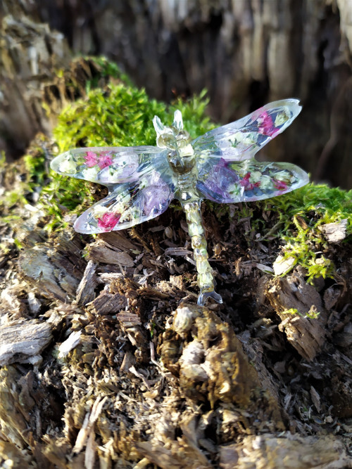 Vážka orchidej a rdesna - brož — foto 2