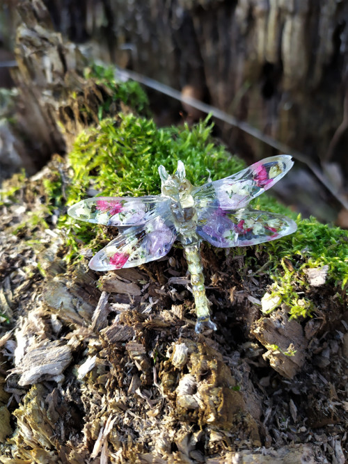 Vážka orchidej a rdesna - brož — foto 3