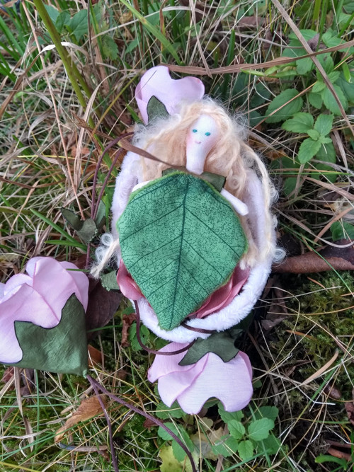 Mauve, Slézová panenka — foto 6