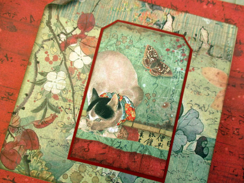 Japonská kočka — foto 2