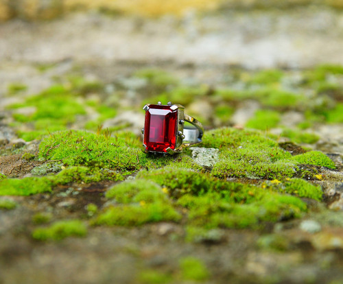 Nerezový prsten... " Red marchioness " — foto 6