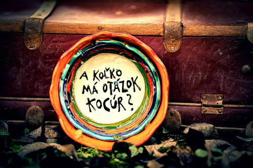 Miska Woland — foto 4