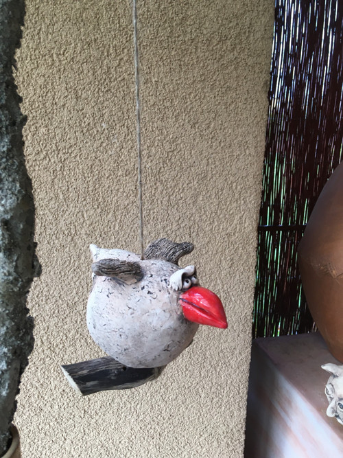 Pták s červeným zobákem — foto 4