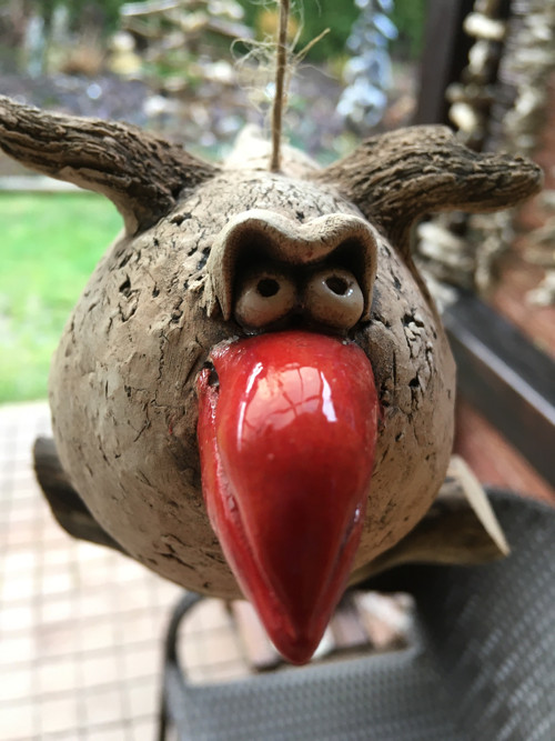 Pták s červeným zobákem — foto 3