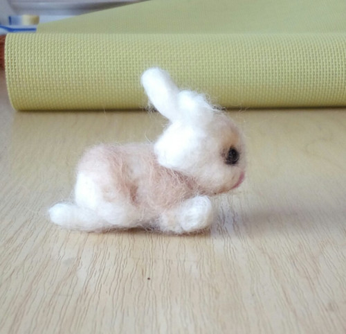 Králík - mini zvířátka — foto 2