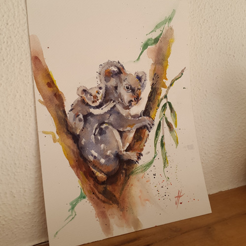 Koala a mládě — foto 4
