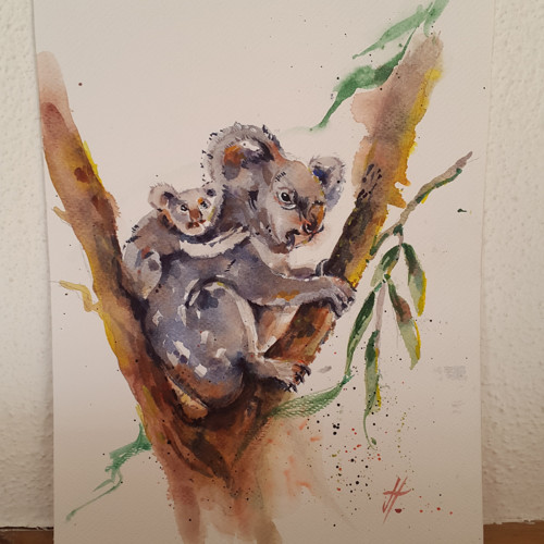 Koala a mládě — foto 3