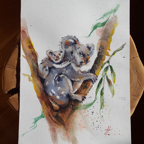 Koala a mládě — foto 2