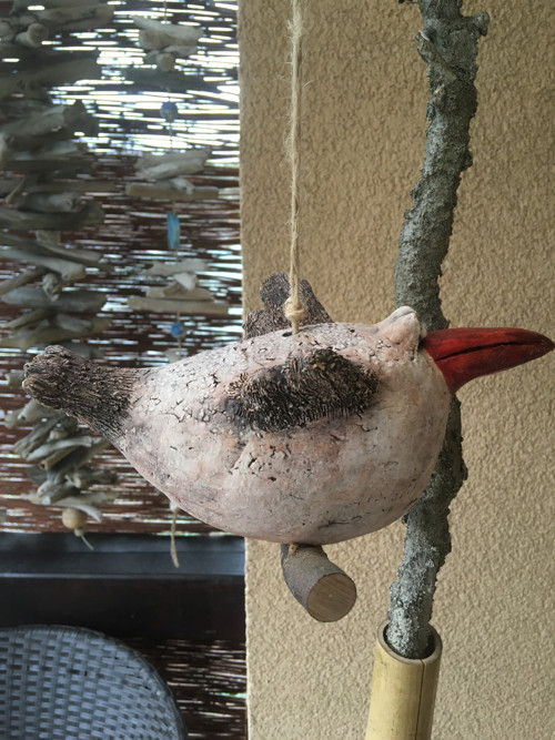 Velký pták — foto 5