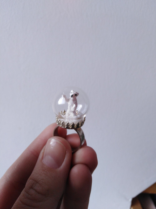 Lední mědvěd — foto 3