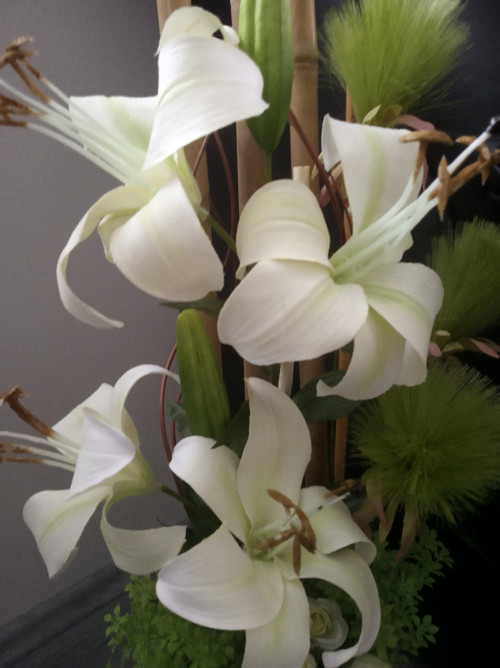 Lilie... 71cm — foto 4