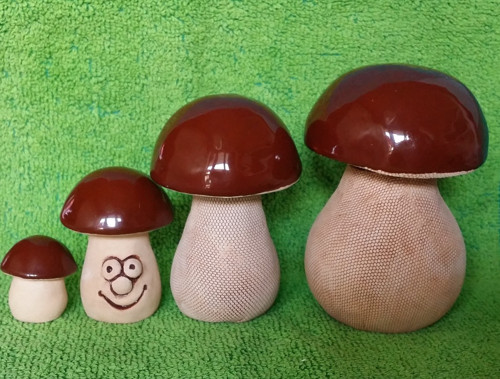 Hříbek s úsměvem — foto 5