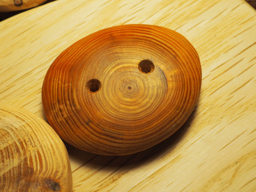Knoflík milenec modřínový — foto 3