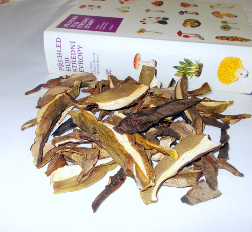 Směs sušených hub, 150 gramů — foto 2