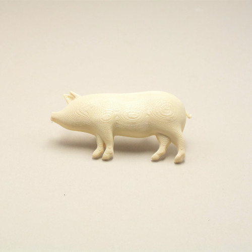 Čuník ivory — foto 2