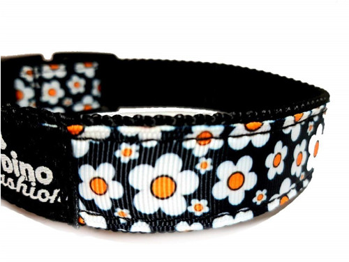 Obojek Daisy — foto 2