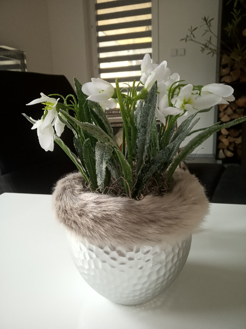 Ledové sněženky — foto 4