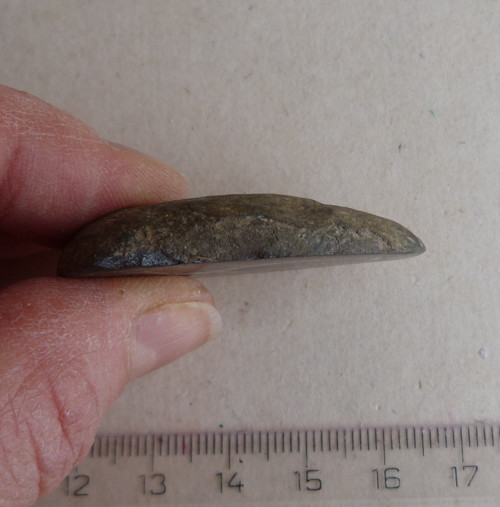 Septárie - 4,3 cm — foto 3