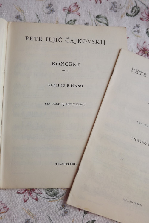 Koncert OP. 35 - Čajkovskij — foto 4