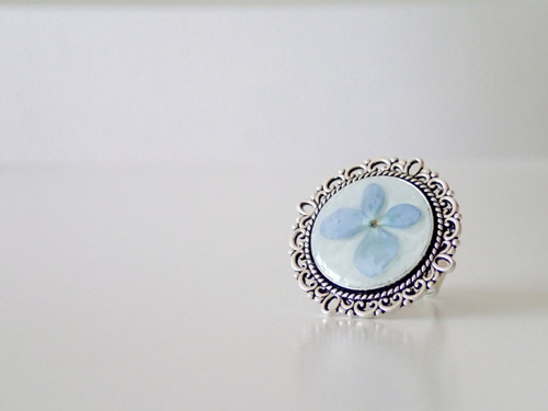 Hortensia blue — foto 2
