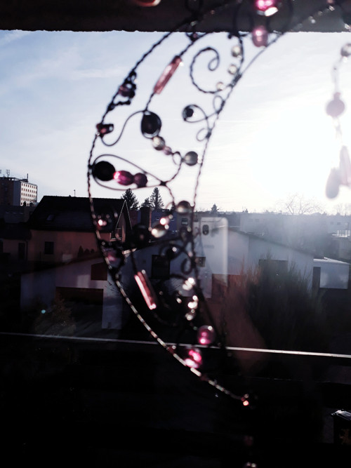 Měsíček do okna — foto 2