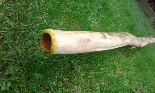 Didgeridoo - habr — foto 4
