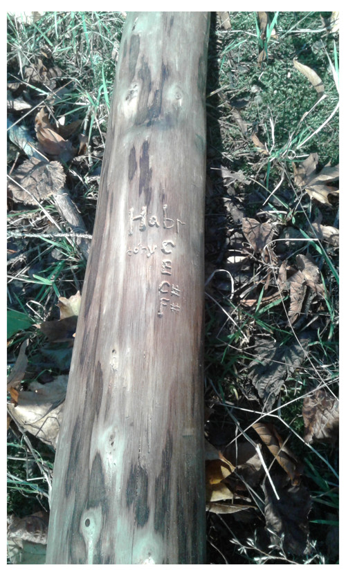 Didgeridoo - habr — foto 3