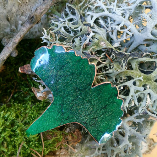 Ginko II — foto 4