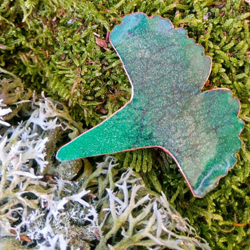 Ginko II — foto 3