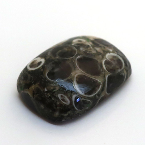 Kabošon turritella obdelník 19mm — foto 2