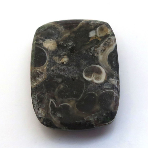 Kabošon turritella obdelník 19mm — foto 3