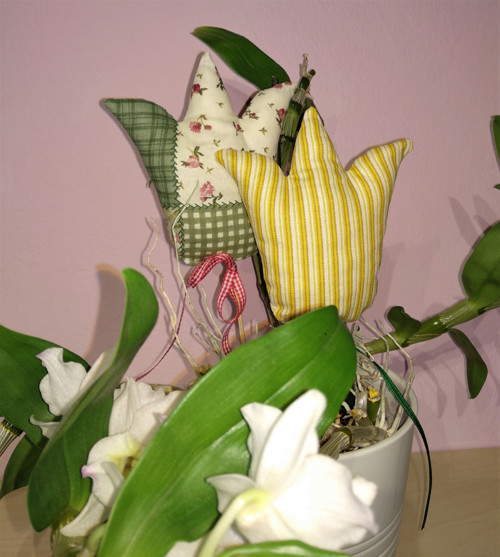 Tulipán - zápich — foto 2