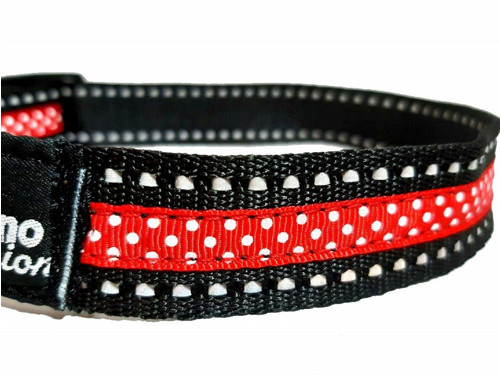 Reflexní obojek Polka dot — foto 2
