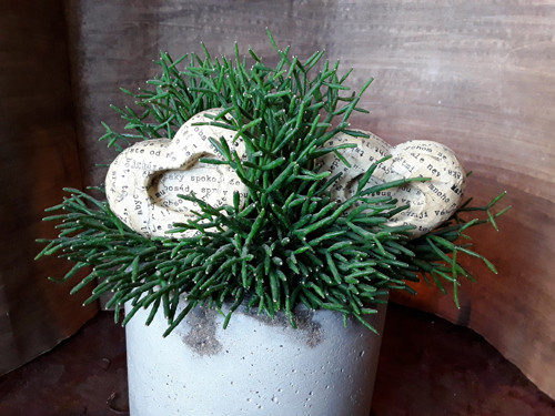 Betonová srdce sada " Decoupage " — foto 3
