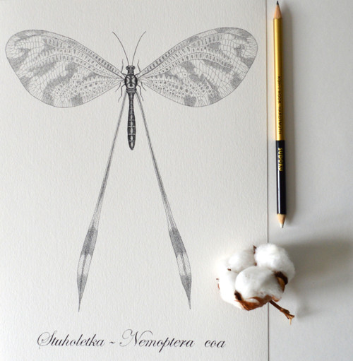 Stuholetka s nápisem — foto 2