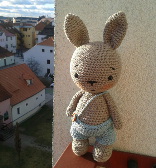 Zajíček ušáček — foto 4
