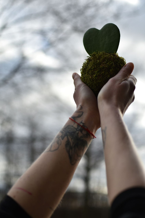 .kokedama LOVE — foto 3