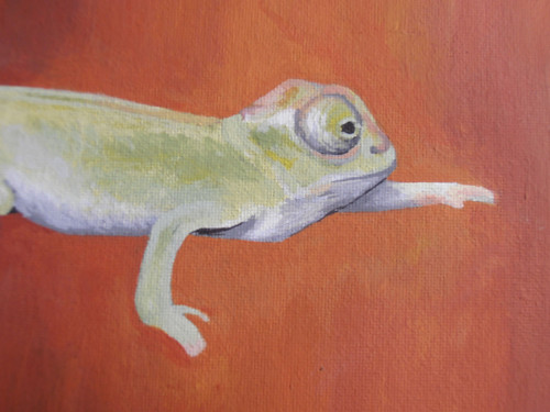 Pár chameleonů — foto 3