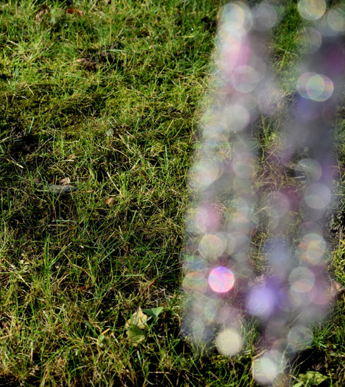 Bohemian summer — foto 3