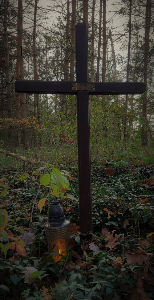 Lesní hrob — foto 2