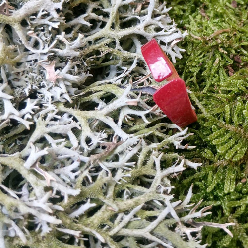 Ring... — foto 2