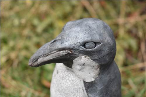 Raku tučňák císařský — foto 2