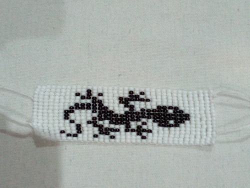 Černá ještěrka — foto 2
