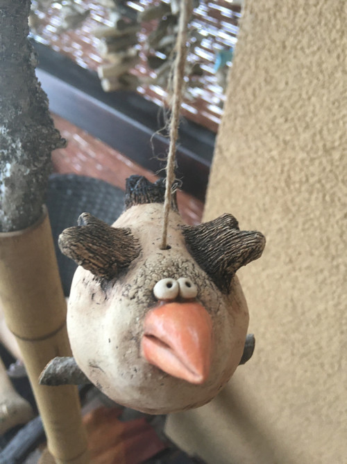 Jarní ptáček s křídly — foto 2