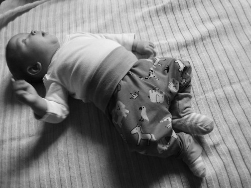 Kalhoty rostoucí ...od 1 měsíce — foto 5