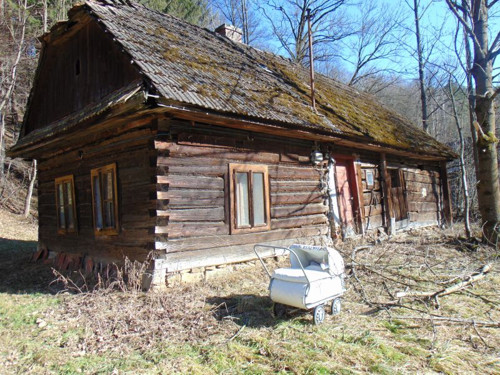 Košík s tulipánem keramickým. — foto 2