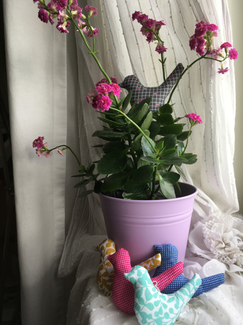 Ptáček se srdíčky — foto 3