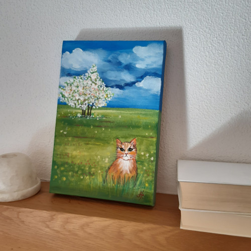 Kočička na voňavé louce — foto 3